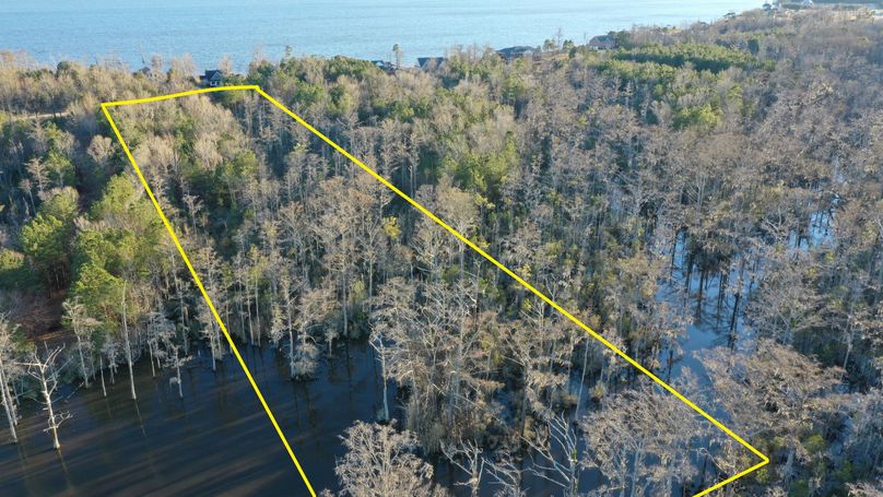 1a - carpenter 6 copy