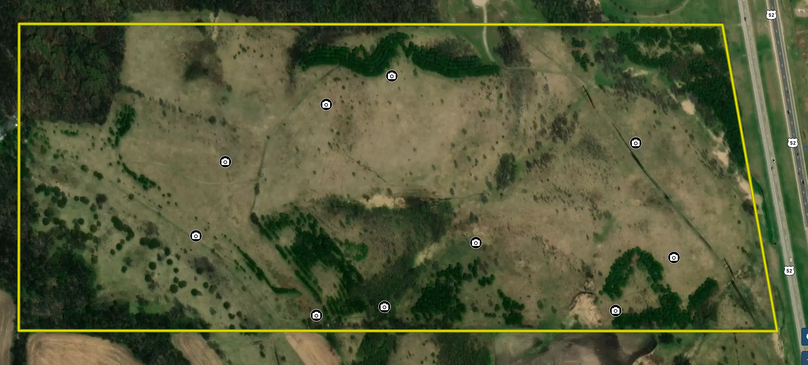 Screen shot 2021-02-23 at 2.17.16 pm