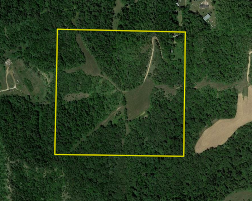 Screen shot 2021-02-12 at 6.22.57 pm