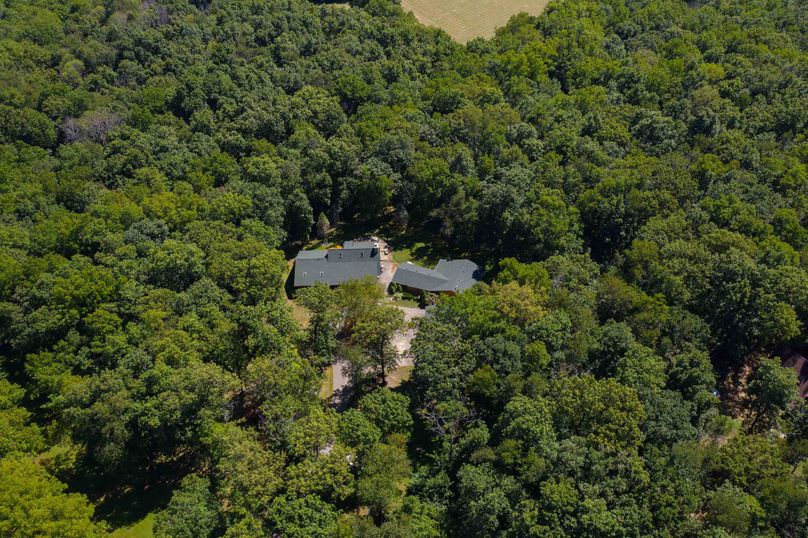 31570 willow rd - drone (19 of 31)
