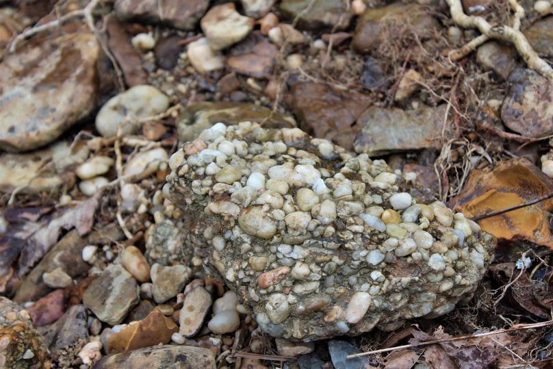 010 fascinating quartz conglomerate found in the stream