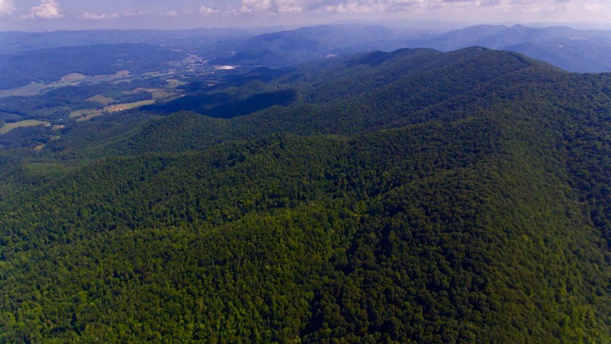 Unrestricted Mountain Land In NE Tennessee With Scenic View Whitetail