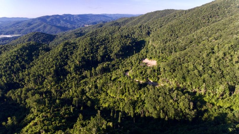 6xbjtw7bt3qp1nzg7itkfq thumb 4d57