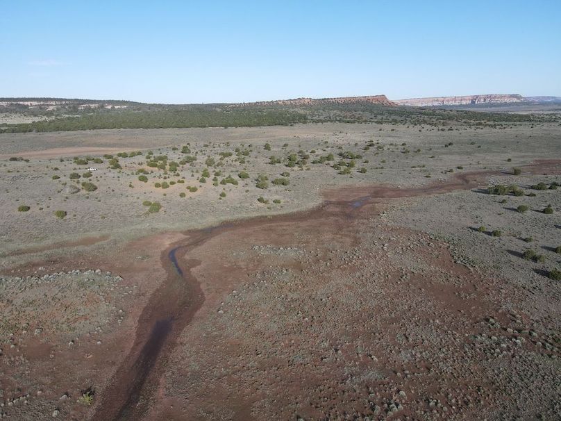 dji_fly_20240504_075408_342_1714830868153_photo