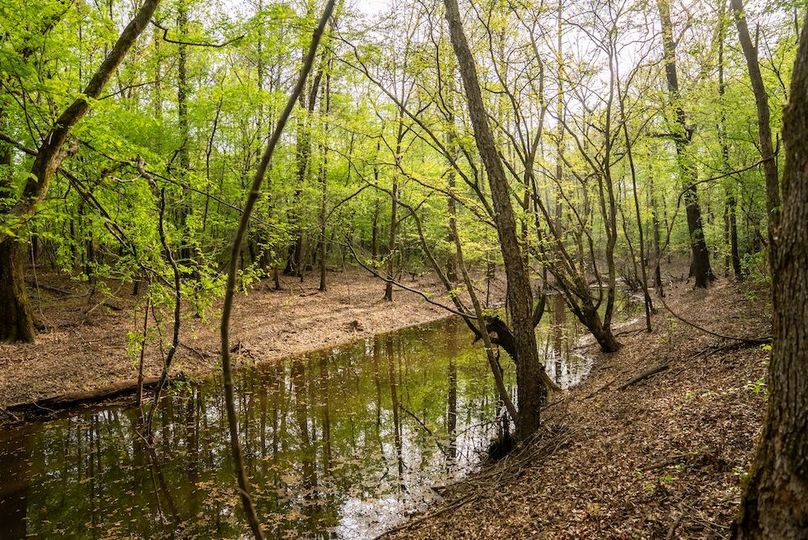 75 Marion TX 143 and 117 Featured_ProPhoto-7