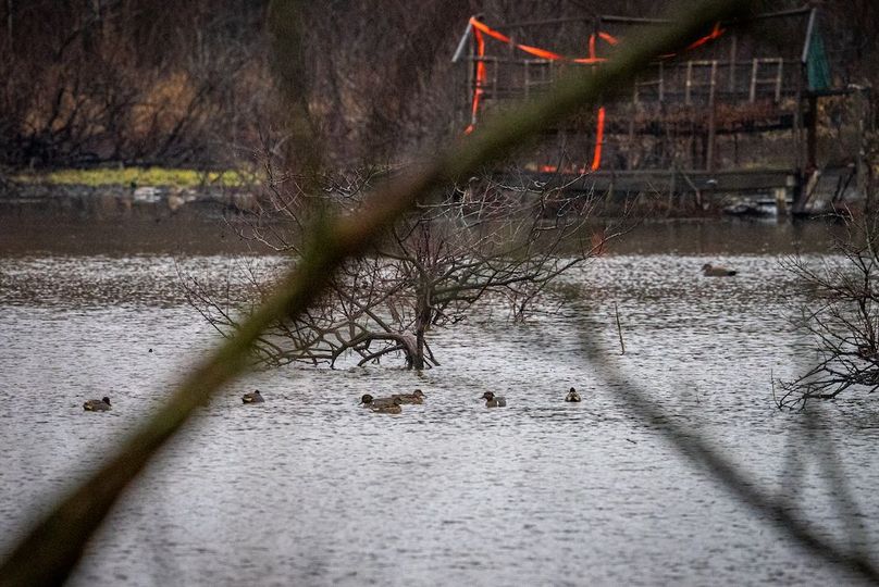 St Clair IL 263.95 Featured_Pro Photo-70