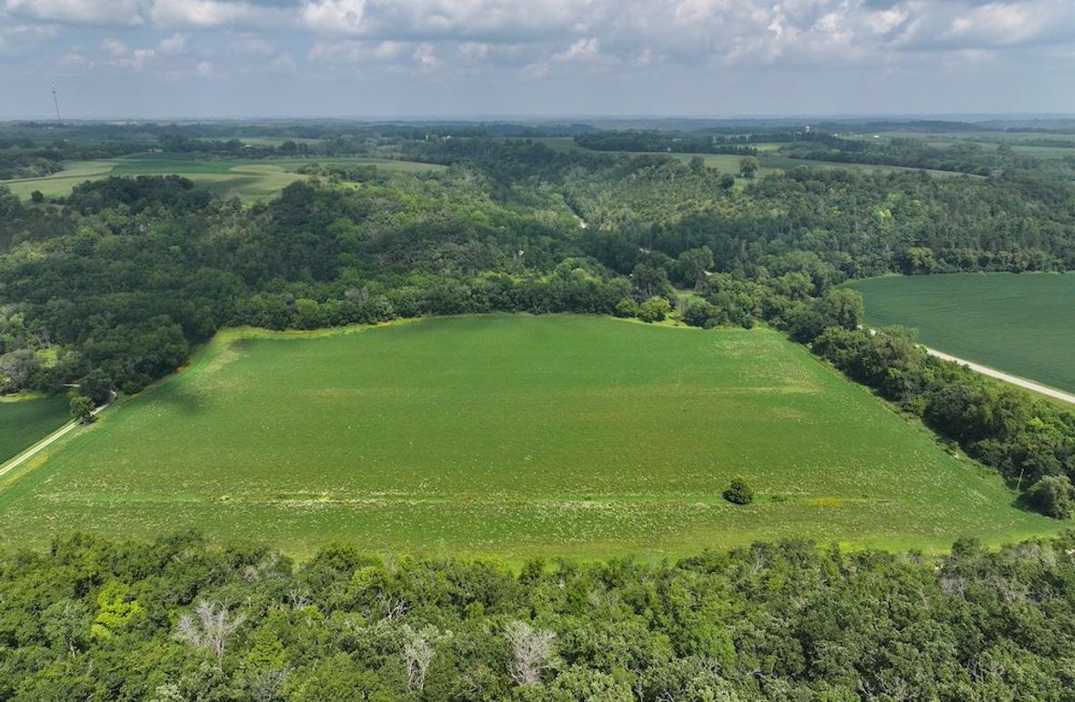 Goodhue 78.81 New -04