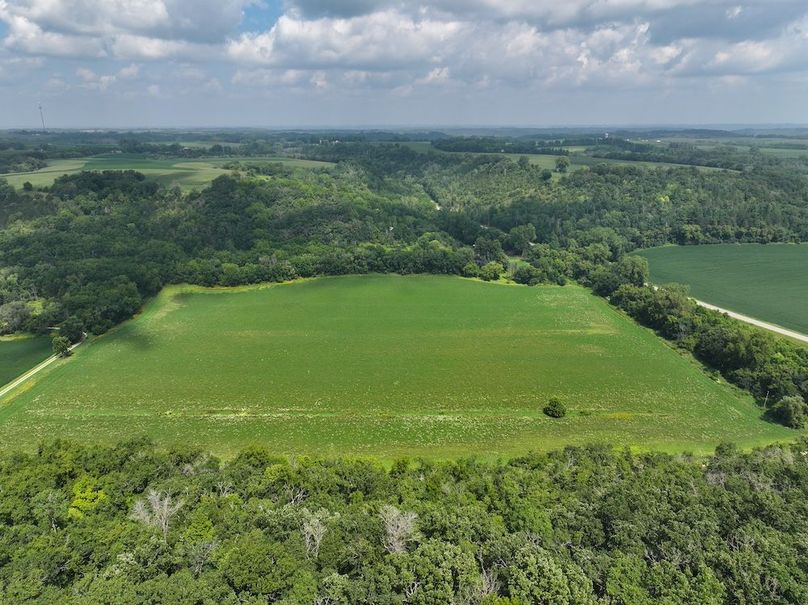 Goodhue 78.81 New -04