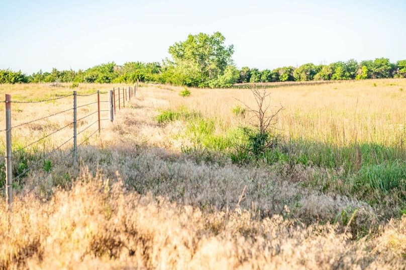Kiowa Co Ks 198-42