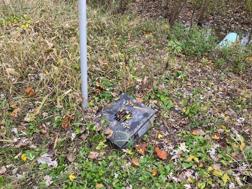 pics from late 2021 and early 2022. New plots being planted in Aug 2023 for new pics (11)