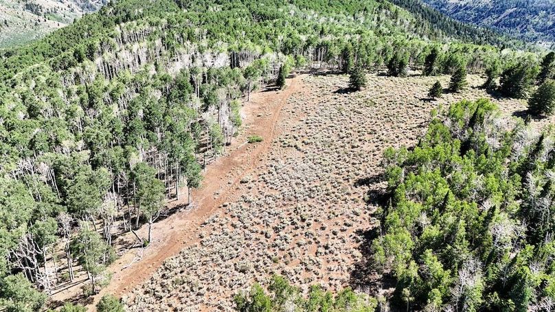 DJI_20250726162441_0034_D