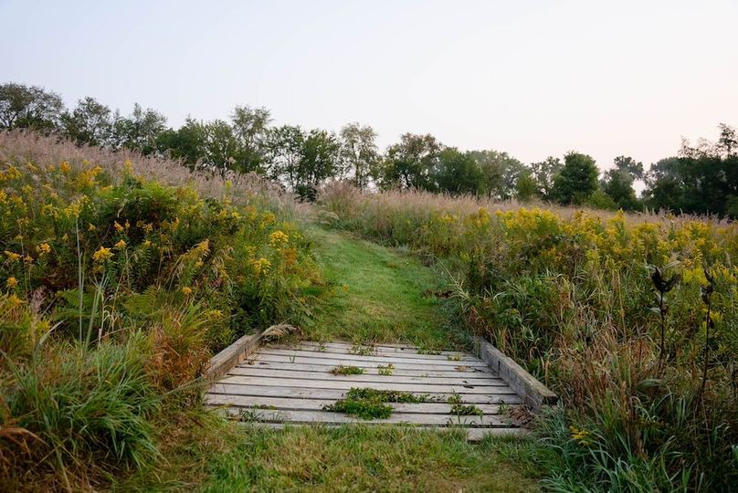 Cedar IA 152 Featured Z42