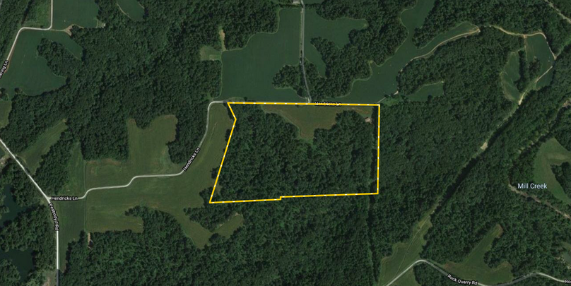 Screen shot 2021-03-30 at 10.11.38 pm