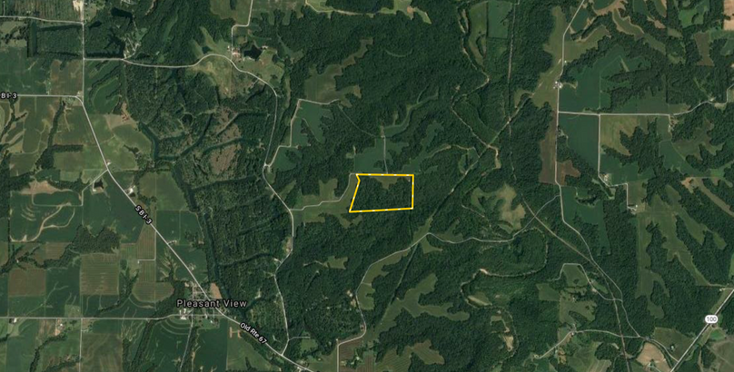 Screen shot 2021-03-30 at 10.11.57 pm