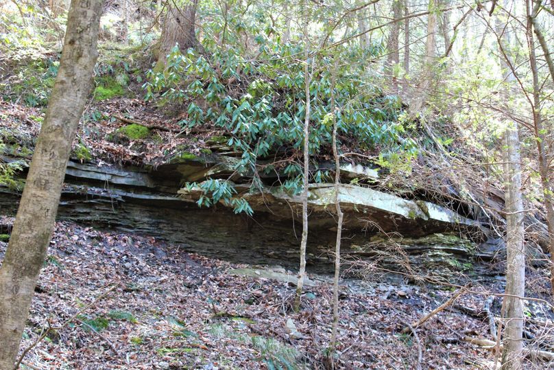 020 rock feature just above the main stream in the western portion of the property