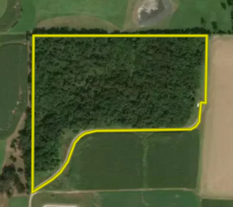 Screen shot 2021-03-30 at 1.40.54 pm