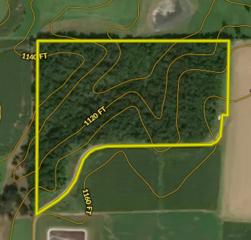 Screen shot 2021-03-30 at 1.41.17 pm