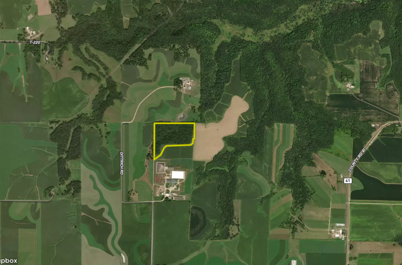 Screen shot 2021-03-30 at 1.41.30 pm