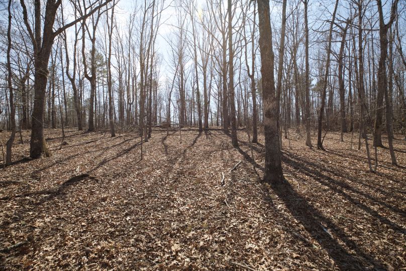 Cartercountymo ground view-22 copy