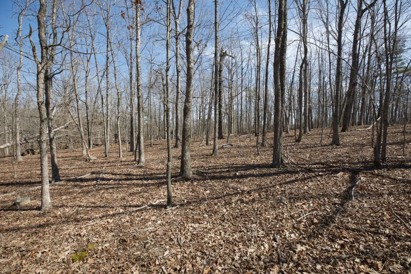 Cartercountymo ground view-23 copy