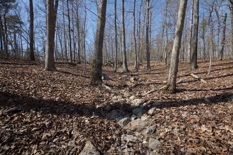 Cartercountymo ground dry creek bed along south boundary-3 copy