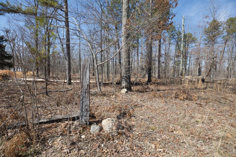 Cartercountymo ground possible boundary marker on south boundary near roadlooking w-8 copy