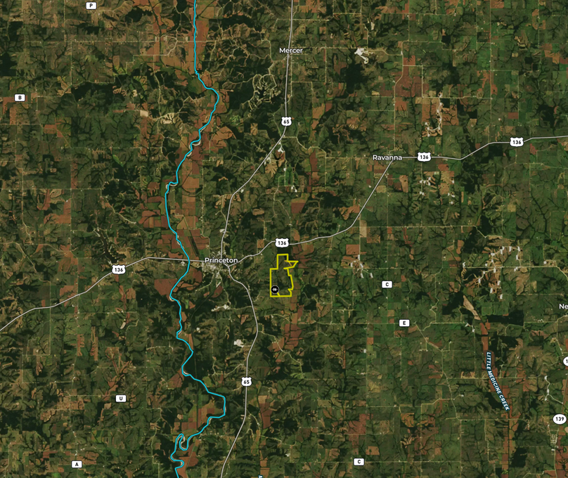 Screen shot 2021-03-22 at 3.34.22 pm