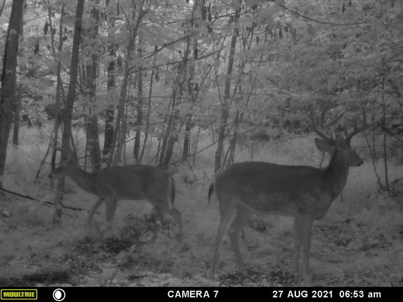 A8397e99-151d-4081-9fc7-3f552a443789 1 105 c