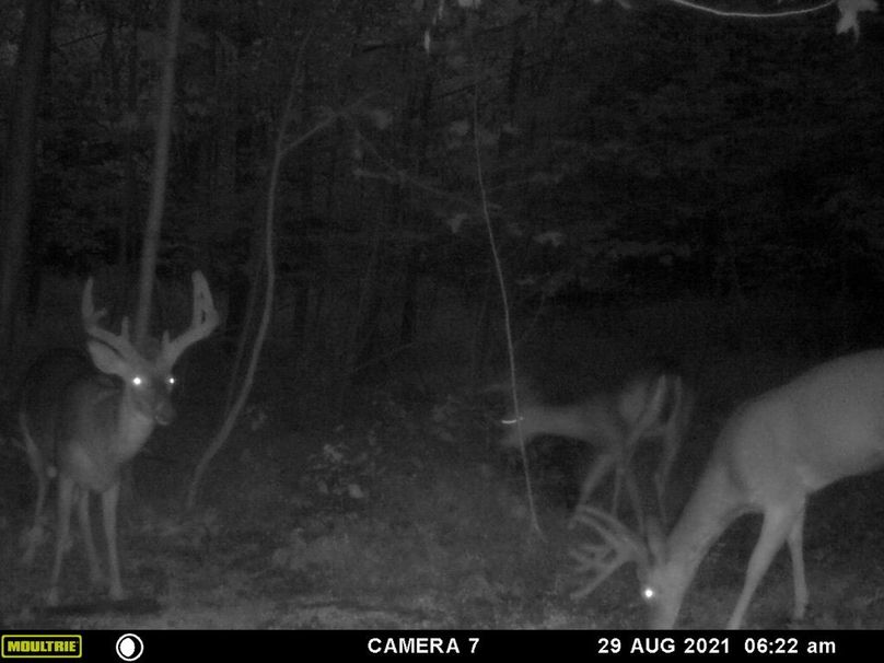 Ba750fbe-b8da-4eff-aea6-c6729dc46edf 1 105 c