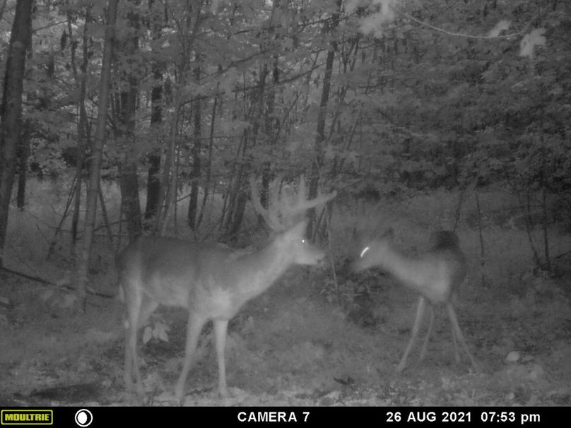 Bd8d2281-c833-48e0-9243-e2d910ff0d72 1 105 c