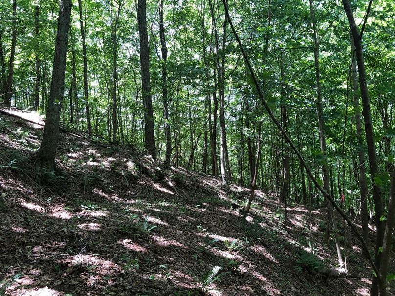 Bfe805dc-64f9-4f23-b1e0-369fc2101aa5 1 105 c