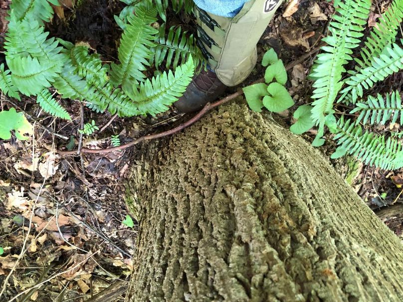 C4a02aae-cc20-4ebb-ae83-1bcca9c7bb57 1 105 c