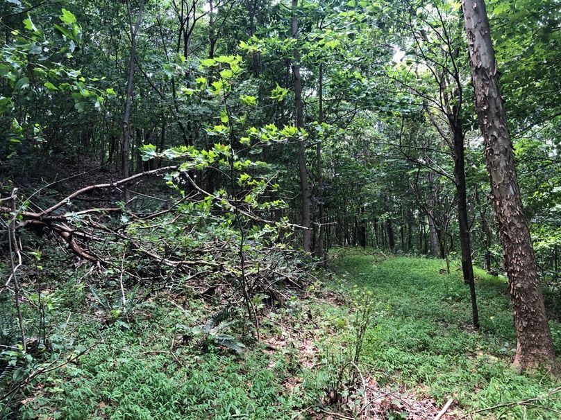 Cb190a01-0e8a-4471-ad99-cf9131ff7117 1 105 c