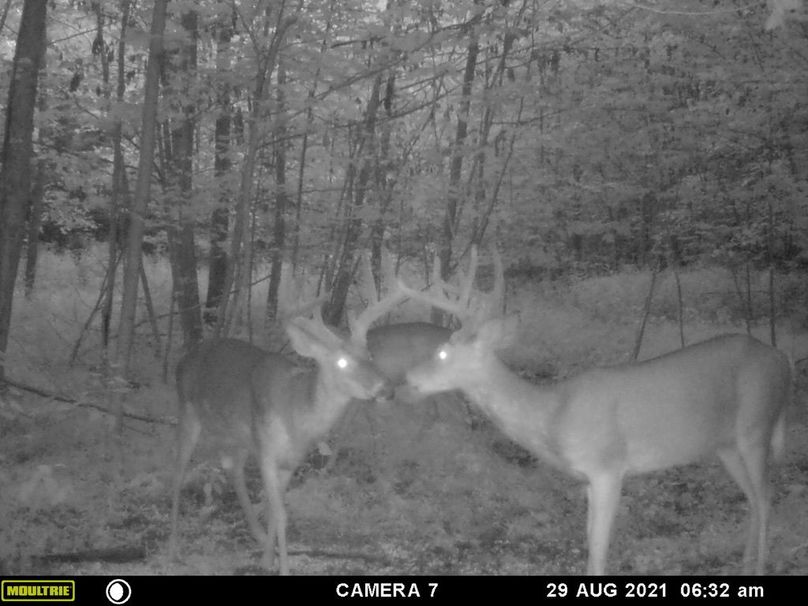 D84ffc45-ff2b-4df0-9a22-4cb456a1de57 1 105 c