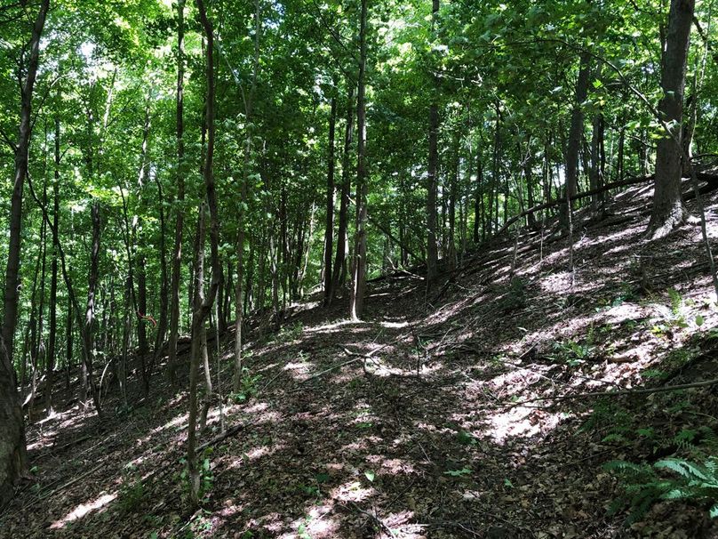 D854a2ac-ea20-459c-8be3-6a0ffcf6fd73 1 105 c