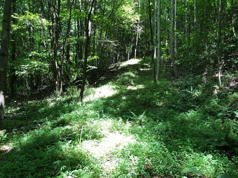 E52b4502-68c3-46bf-874c-f3ac608f0d5c 1 105 c