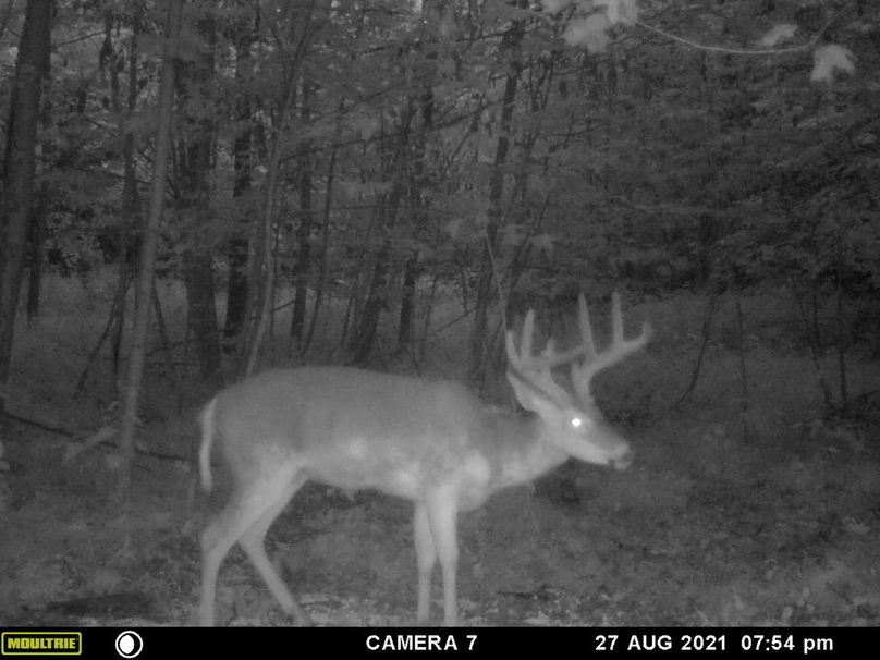 E0c8351e-e4e9-42ba-89b9-f98e1f3c6bdd 1 105 c