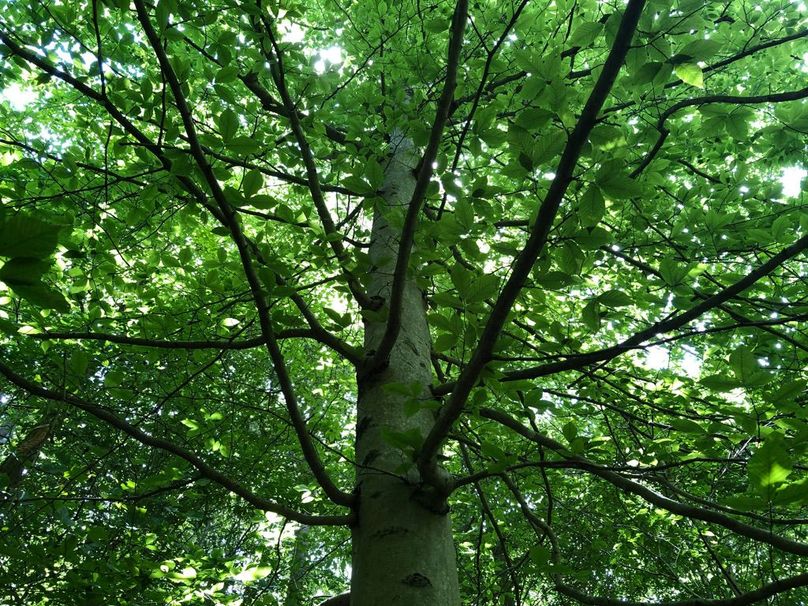 F2230c64-7450-4409-a1a7-e0cd5600c296 1 105 c