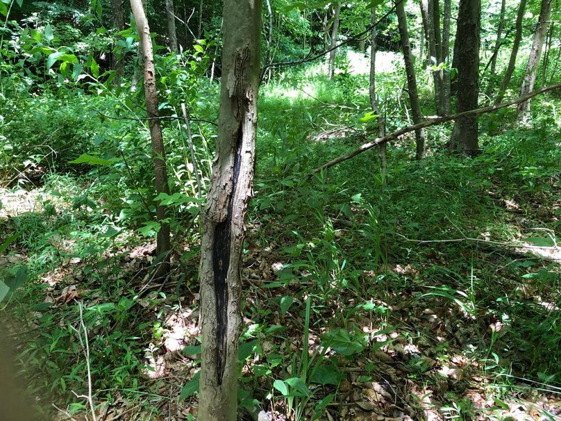 F30bfeca-3c76-4295-9935-acf373d95ed5 1 105 c