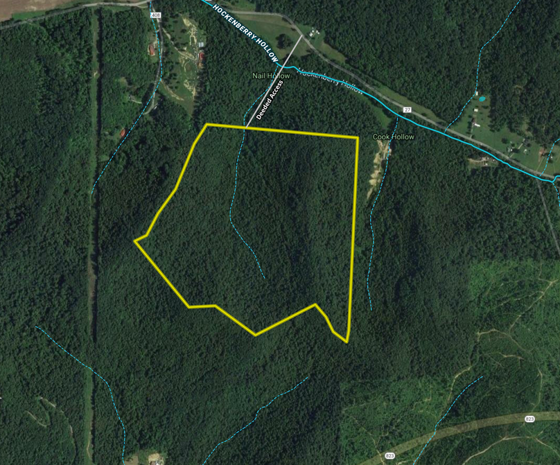 Screen shot 2021-03-31 at 1.01.57 pm