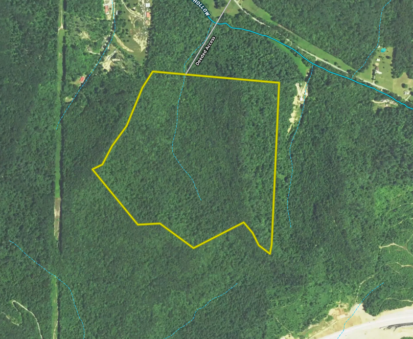 Screen shot 2021-03-31 at 1.02.47 pm