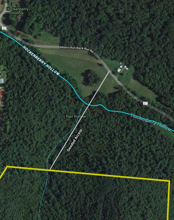 Screen shot 2021-03-31 at 1.02.10 pm