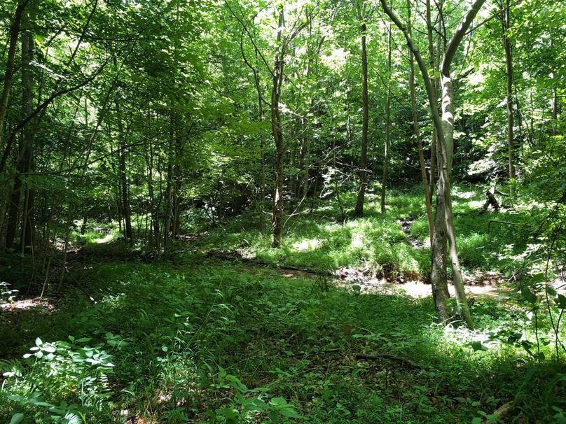 0d520595-3236-44d8-89e3-21207e59497a 1 105 c