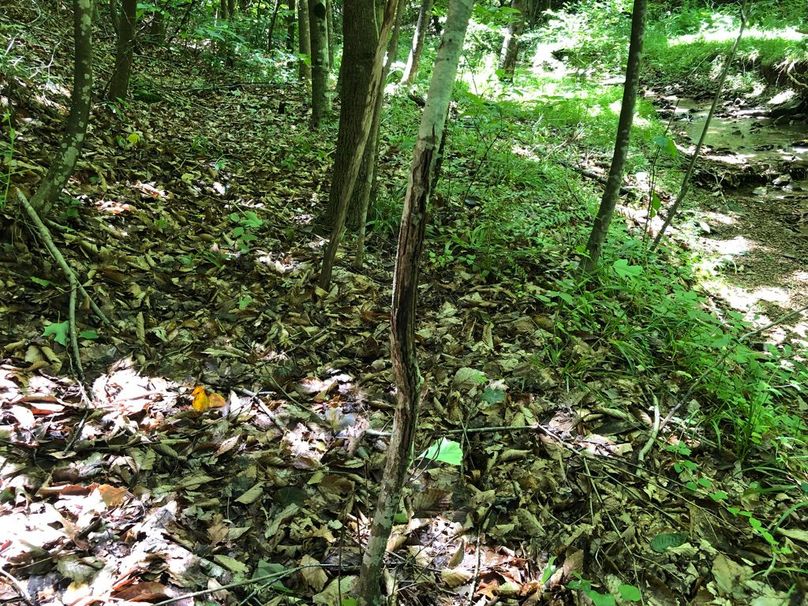 1563337b-dcd7-44c6-8336-01115512ffbf 1 105 c