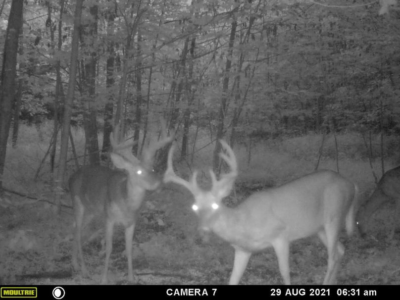 1171be69-43da-4fe7-a0a9-3508cdd3ab94 1 105 c