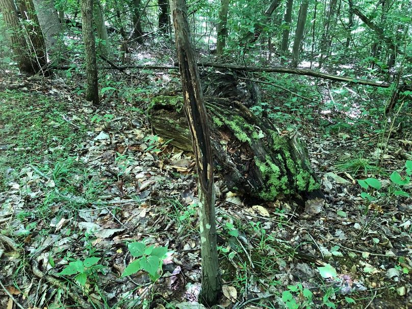 1a9340f6-36aa-4f68-8f74-5a17dc60f964 1 105 c