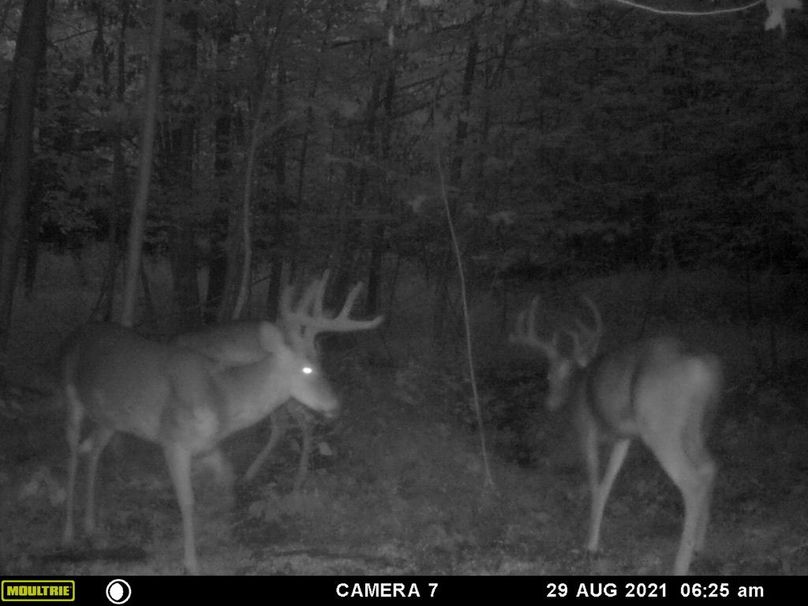 26f38bdb-166d-4b49-83eb-7cd130108b25 1 105 c