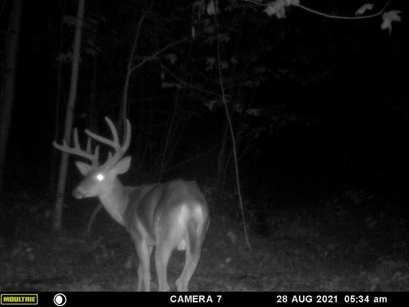 39943726-2b6c-47ab-a699-120a10379c42 1 105 c