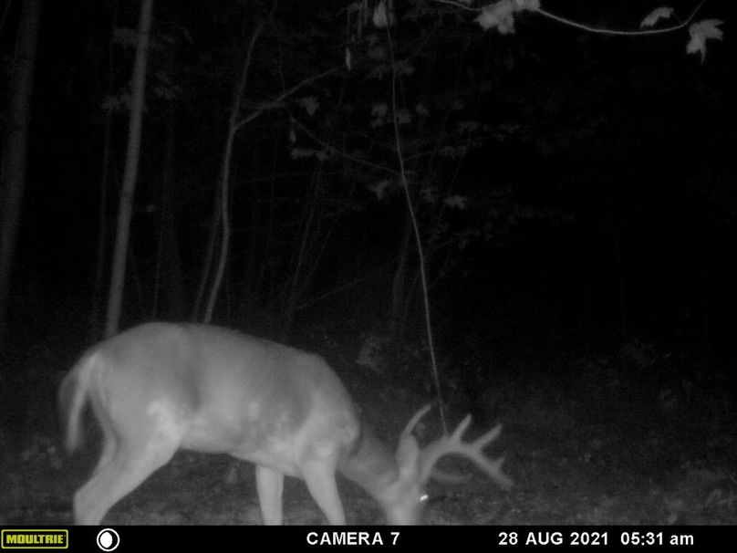 46f37658-698b-484b-9c2d-695a51ffa75d 1 105 c