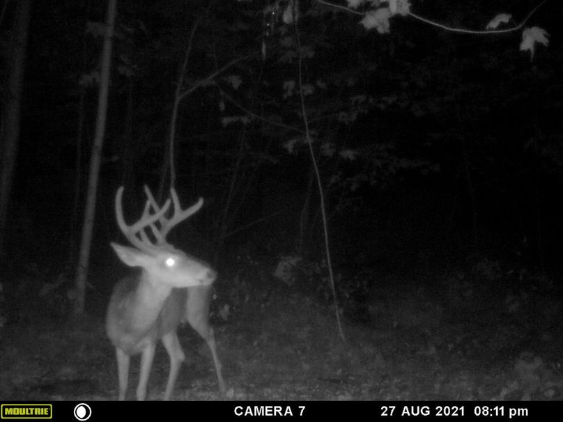 475872e9-b88d-4492-a8a9-f245a616c98c 1 105 c